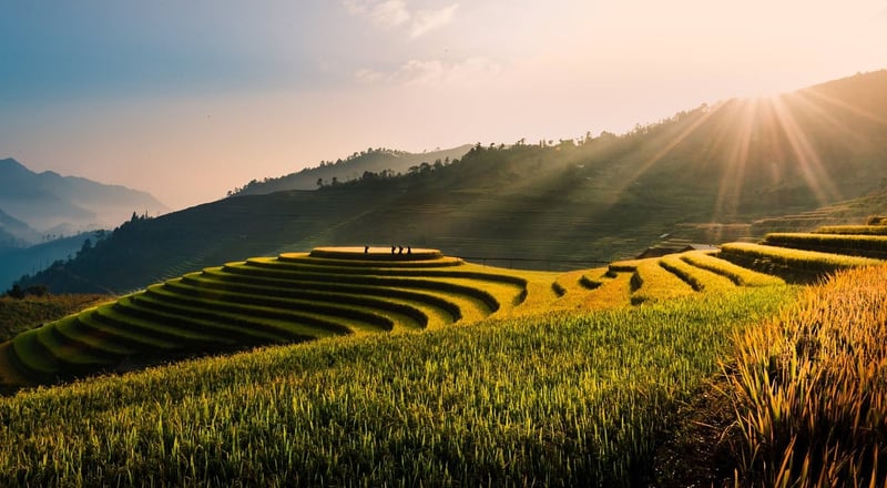 Bali Rice Terraces