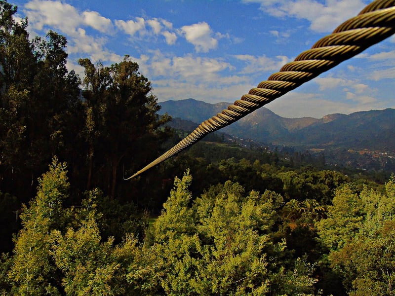 Zip Lining